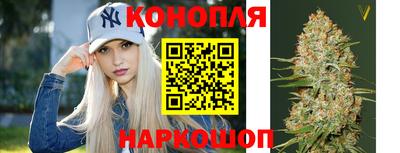 прущие грибы Нальчик