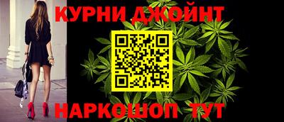 прущие грибы Нальчик
