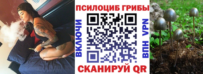 Псилоцибиновые грибы прущие грибы  Радужный 